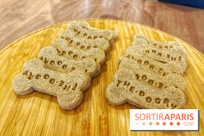 The Dogry - IMG 3599