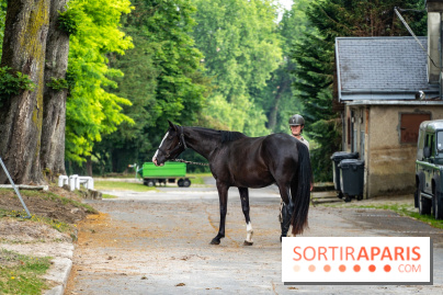 Visite guidée de l'École Mlitaire d'Équitation - A7C02319