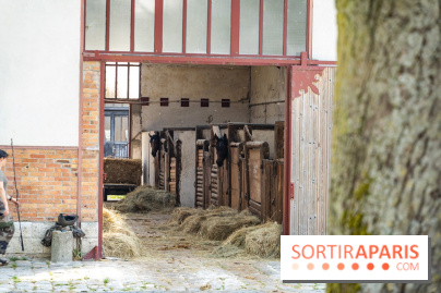 Visite guidée de l'École Mlitaire d'Équitation