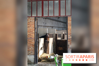Visite guidée de l'École Mlitaire d'Équitation