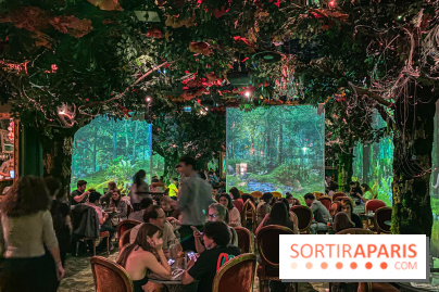 Wonderwoods - IMG 6786