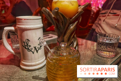 Wonderwoods - IMG 3695