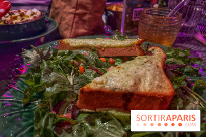 Wonderwoods - IMG 3709