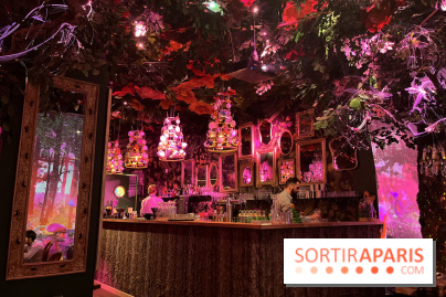 Wonderwoods - IMG 3728