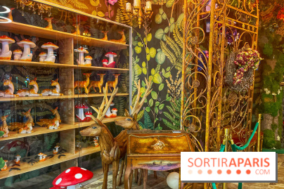 Wonderwoods - IMG 3742