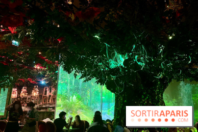 Wonderwoods - IMG 3810