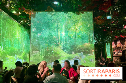 Wonderwoods - IMG 3811