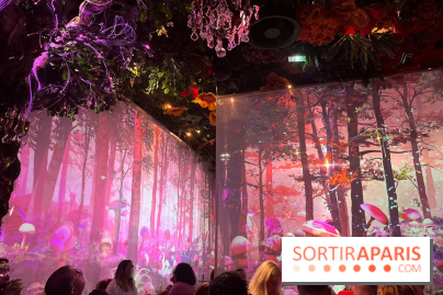 Wonderwoods - IMG 3812