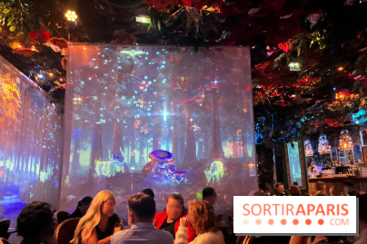 Wonderwoods - IMG 3813