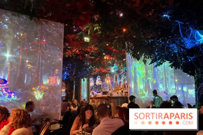 Wonderwoods - IMG 3814