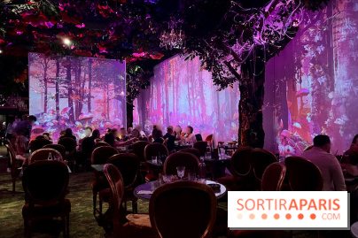 Wonderwoods