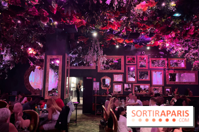 Wonderwoods - IMG 3816