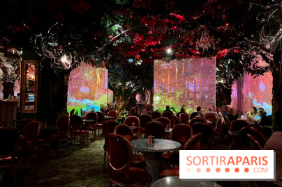 Wonderwoods - IMG 3818