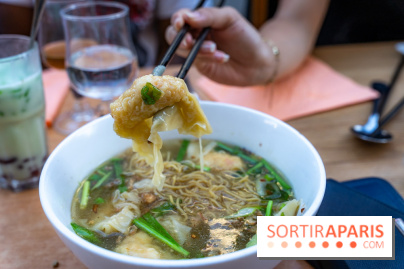 Dong Tam restaurant vietnamien Paris 13e