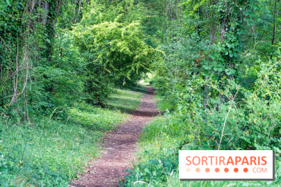 Le port de Valvins-les-Bains, les photos