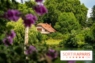 Le port de Valvins-les-Bains, les photos