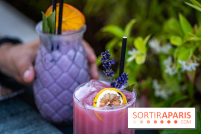 Le Domaine des Vanneaux MGallery - les photos - A7C04492