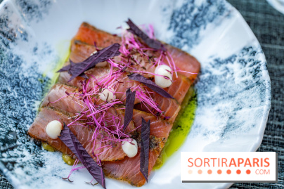 Le Domaine des Vanneaux MGallery - les photos - A7C04495