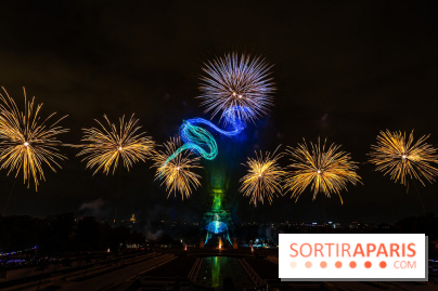 Le feu d’artifice du 14 juillet 2025 de Paris - les photos