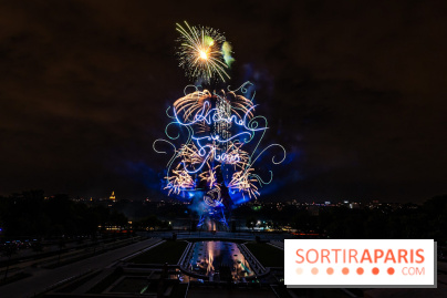 Le feu d’artifice du 14 juillet 2025 de Paris - les photos