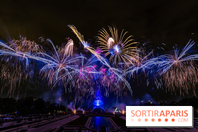 Le feu d’artifice du 14 juillet 2025 de Paris - les photos