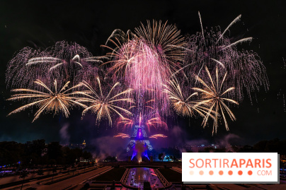 Le feu d’artifice du 14 juillet 2025 de Paris - les photos