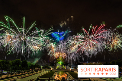 Le feu d’artifice du 14 juillet 2025 de Paris - les photos