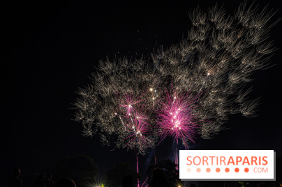 Visuels feux d'artifice  - A7C06101