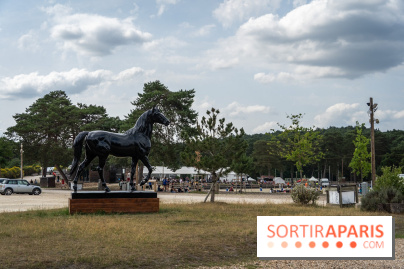 Le Grand Parquet Fontainebleau - photos  - A7C02547
