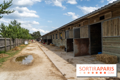 Le Grand Parquet Fontainebleau - photos  - A7C02565