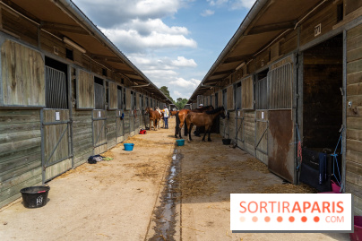 Le Grand Parquet Fontainebleau - photos  - A7C02566