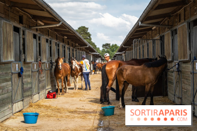 Le Grand Parquet Fontainebleau - photos  - A7C02567