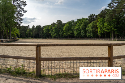 Le Grand Parquet Fontainebleau - photos  - A7C02569