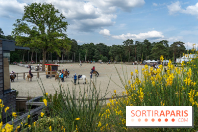 Le Grand Parquet Fontainebleau - photos  - A7C02572