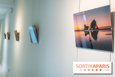 Exposition Dancing the Earth au Couvent de l'Annonciation Paris 8e