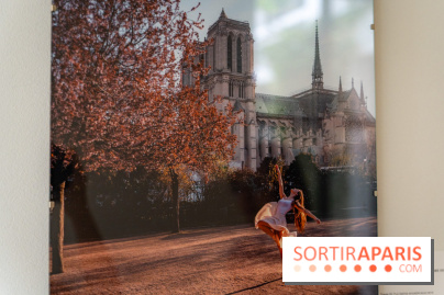 Exposition Dancing the Earth au Couvent de l'Annonciation Paris 8e