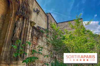 Jardin Médiéval du Musée de Cluny - IMG 3872