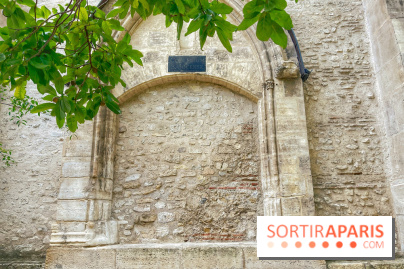 Jardin Médiéval du Musée de Cluny - IMG 3873