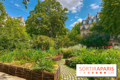 Jardin Médiéval du Musée de Cluny - IMG 3877