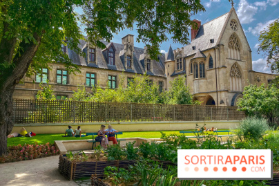 Jardin Médiéval du Musée de Cluny - IMG 3901