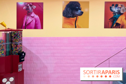 Patapwouf, le spot cani-friendly de Saint-Ouen - nos photos - 3A056E7A 515A 49BC 9E6D D01399762918