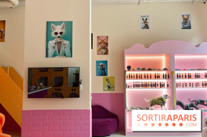 Patapwouf, le spot cani-friendly de Saint-Ouen - nos photos - 5B0C3066 1B00 4ACE 8DC8 0CB498548433