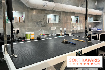 Patapwouf, le spot cani-friendly de Saint-Ouen - nos photos - 393556D9 EA36 4DFD 8540 3C17E3D5F509