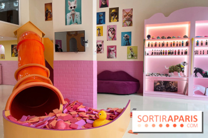 Patapwouf, le spot cani-friendly de Saint-Ouen - nos photos - A20E0070 2D50 49D7 8DC4 7B247EC53339