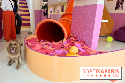 Patapwouf, le spot cani-friendly de Saint-Ouen - nos photos - B0605D0C 0E5A 47FE A9CE C6F0526C3A2F