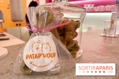 Patapwouf, le spot cani-friendly de Saint-Ouen - nos photos - CBA74623 0EBE 44FA 9FFF 1E1D19587CD5