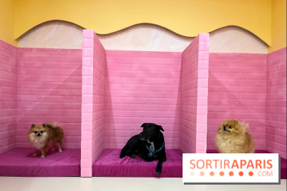Patapwouf, le spot cani-friendly de Saint-Ouen - nos photos - EFD876A8 E455 49B4 A85E 02B255FF5AC9