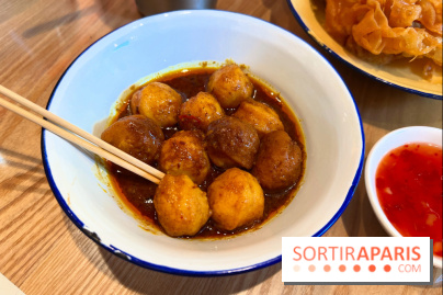 Dimdan Maidan - Curry fish balls