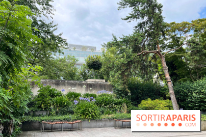 Square Eugénie Djendi - nos photos - EAA561DA 8305 4BA9 B12D 98BC68D5370B