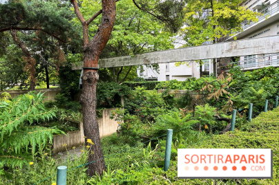 Square Eugénie Djendi - nos photos - FD319826 4778 4FB0 82F8 9E3D98DB0171